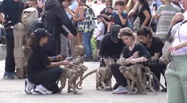UK: Life-sized animal puppet herd tours London to raise climate awareness