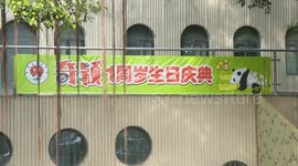 China: Giant panda spends 1st birthday at Chongqing zoo