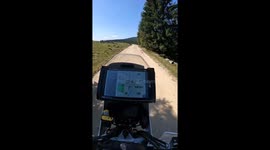 Holy cow that was close! Motorcycle Rally rider meets cows in the mountains