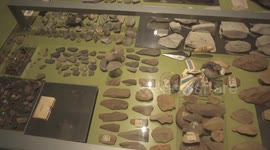 South Africa: African scientists decode ancient tooth proteins to unlock early human relatives' secrets