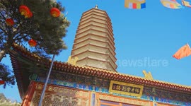 China: Buddhist relic's trip to Thailand symbolizes deepening China-Thailand exchanges