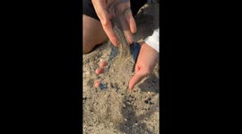 Footage shows how iPhones can be used to find metal at the beach