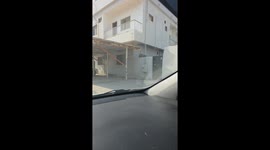 Hilarious moment large rat goes full spy mode as it sneaks under gate