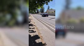 US: 2 firefighters killed by shooter in ambush while responding to fire in US state of Idaho