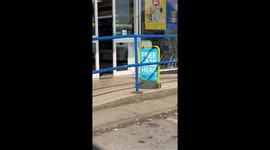 Seagull Carefully Plots Peanut Heist