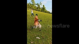 Robot runs downhill in scarily human-like fashion