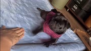 temp