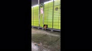 temp