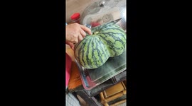 Man cuts open giant ripe watermelon in Yongzhou City, Hunan Province, China