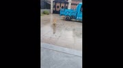 temp