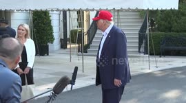 US: Trump says he will 'have to take a look' at deporting Elon Musk (2)