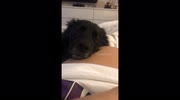 temp