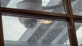 Creepy cctv cameras at Flemington station appear to be able to look through toilet windows