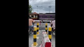 Bird makes its nest on level crossing barrier and gets hoisted up every hour