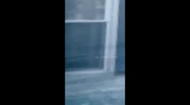 This was taken about a month ago I recorded it as soon I I got home frome work I went and put my lunch box up and walked into the living and looked at the monitor and there was the beings faces in my windows and every where and grabbed my phone and hear i