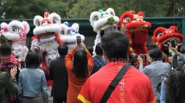 Mexico: Mexico's beloved giant panda Xin Xin turns 35