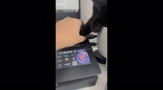 temp