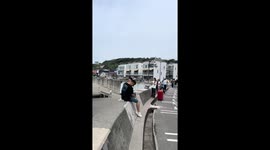 Eagle snatches ice cream from beachgoer in Tianjin, China