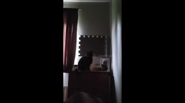 Black cat turns on vanity light to wake owner in Wexford, Ireland