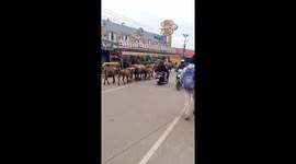 customers for Adyar Ananda Bhavan, Ooty. TN