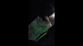 elephant attack car passengers