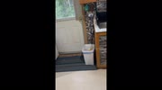 temp