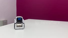 UK: Robot Shows Human-Like Emotions After Simple Game With Participants