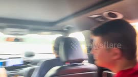 Animals encircle family’s car at 'Arbuckle Wilderness' and refuse to leave without food