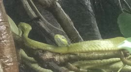 This video was officially belongs from me