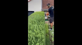 Professional landscaper shows off impressive hedge-trimming chops