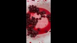 Lingonberry Disaster