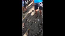 GRAPHIC: Grandfather, 61, swallowed whole by 28ft python before locals remove body