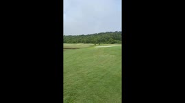 Golfer encounters different kind of eagle as bird of prey attacks him on course in Tennessee