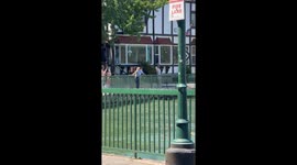 Woman mistakes duck mating for attack, launches hilarious rescue mission at Lake Arrowhead