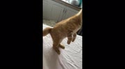 temp