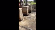 temp