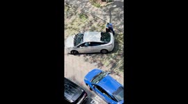 Woman pinned to ground during scuffle with taxi driver in parking dispute