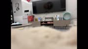 temp