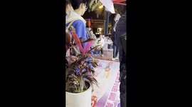 Follow-Up on the Golden Retriever That Refused to Leave the Ice Cream Shop