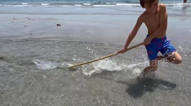 Father and son stunned as fish plays dead before swiftly burrowing into sand