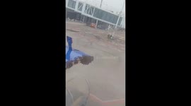 Bees Hijack IndiGo Flight at Surat Airport, Delay Departure by Nearly an Hour