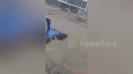 India: Bee swarm delays Jaipur-bound IndiGo flight by an hour at Surat Airport