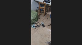 Chicken heist gone wrong: Dog gets head stuck in Tupperware, 15 million viewers can’t stop laughing