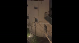 Cat Balances on Wire at Night