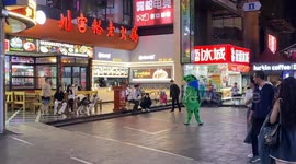 Husky Faces Man in Frog Costume