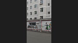 Bird in Hot Pursuit of Cat