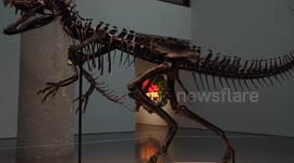 US: Highlights from Sotheby's 'Geek Week'