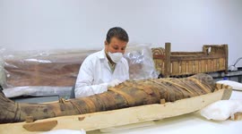 Egypt: DNA test gives new clue to Egyptian ancestry