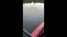 Fisherman accidentally hooks snapping turtle in Marlborough, Massachusetts, USA