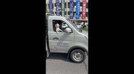Dog Enjoys Breeze in Car